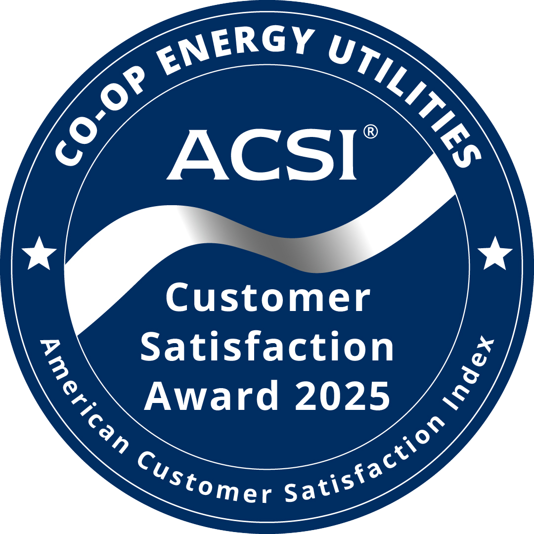 https://www.theacsi.org/badges