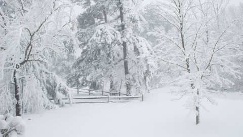 Winter Storm