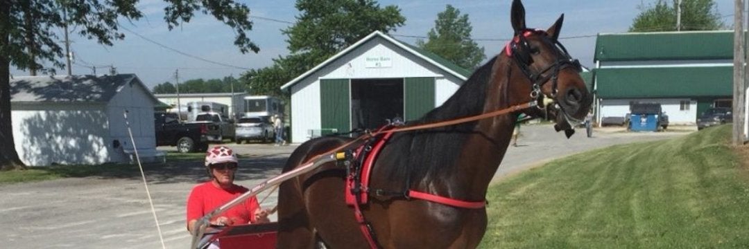 Rusty with his horse